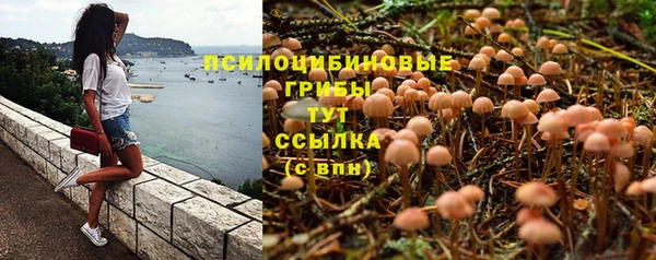 хмурый Козельск