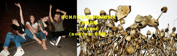 мефедрон мука Кодинск