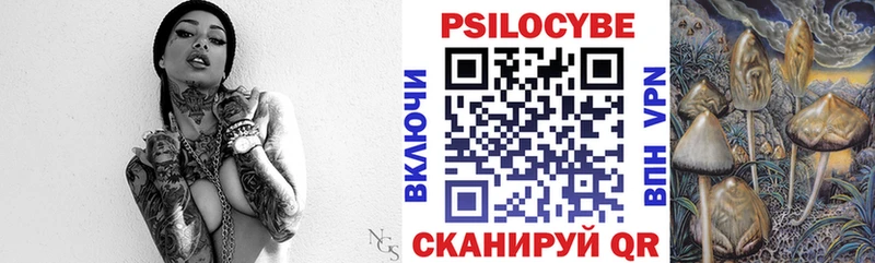 Псилоцибиновые грибы прущие грибы  Долгопрудный 