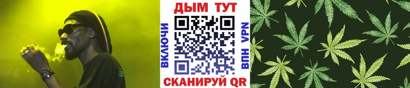 Бошки марихуана THC 21%  где можно купить   Долгопрудный 
